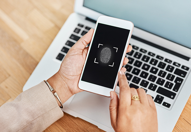 datos-seguros-en-línea